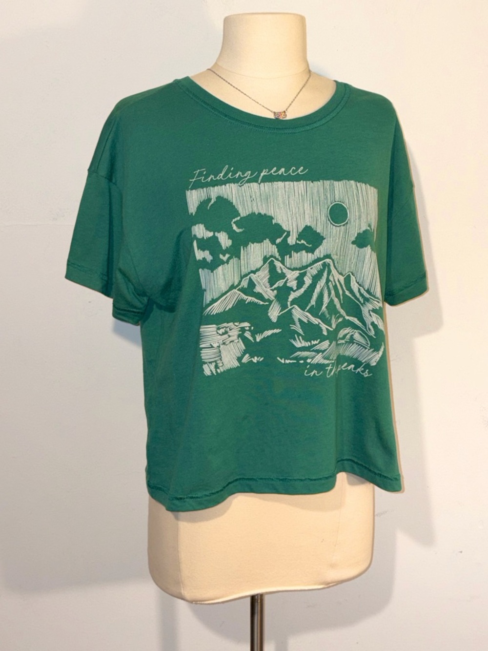 Buckle Modish Rebel Mountains Crop Graphic Tee - Teal - Picture 1 of 4